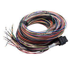 Link ECU B Loom Long For Use w/ Link G4, G4+ and G4X ECUs