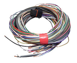 Link ECU B Loom Medium For Use w/ Link G4, G4+ and G4X ECUs