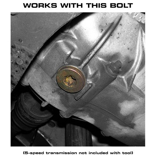 Company23 Torx T70 Socket - Subaru Models